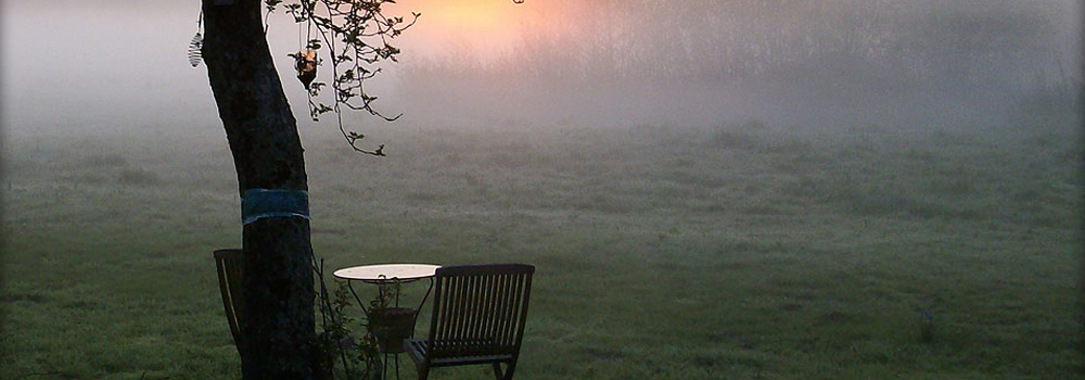 Banner_3